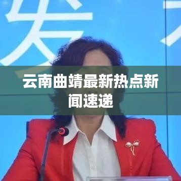 飞箭如蝗