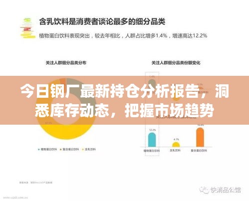 今日钢厂最新持仓分析报告，洞悉库存动态，把握市场趋势