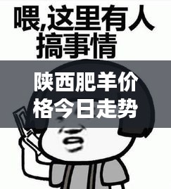 陕西肥羊价格今日走势,最新动态与行情分析