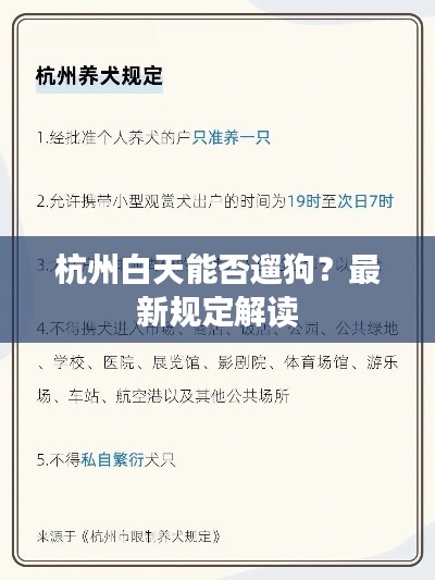 杭州白天能否遛狗？最新规定解读