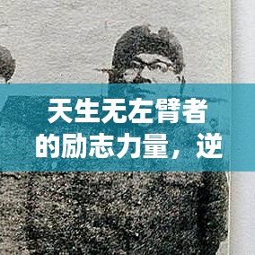 指李推张