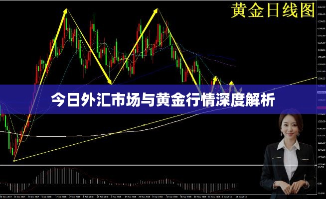 今日外汇市场与黄金行情深度解析