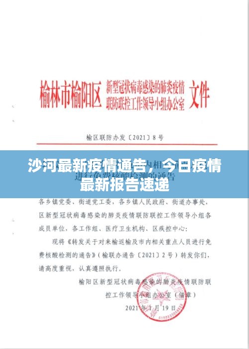 沙河最新疫情通告，今日疫情最新报告速递
