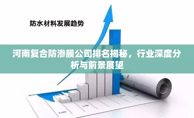 河南复合防渗膜公司排名揭秘，行业深度分析与前景展望