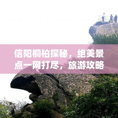 信阳桐柏探秘，绝美景点一网打尽，旅游攻略大揭秘！