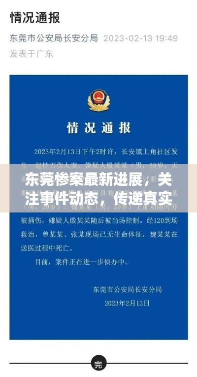 东莞惨案最新进展,关注事件动态,传递真实信息,引发社会关注