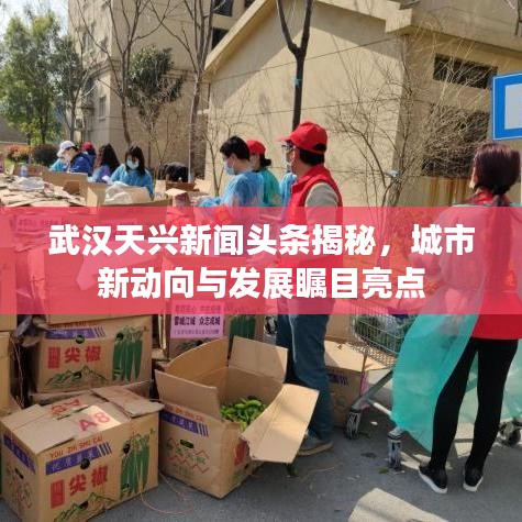 武汉天兴新闻头条揭秘，城市新动向与发展瞩目亮点