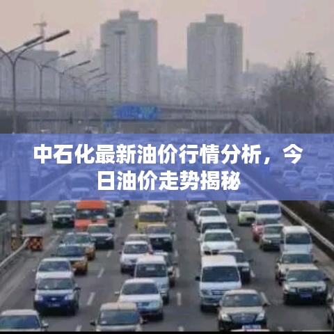 中石化最新油价行情分析,今日油价走势揭秘