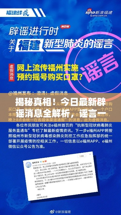 揭秘真相!今日最新辟谣消息全解析,谣言一网打尽!