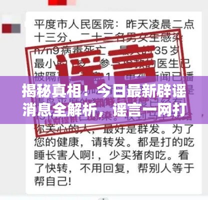 揭秘真相!今日最新辟谣消息全解析,谣言一网打尽!