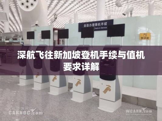 深航飞往新加坡登机手续与值机要求详解