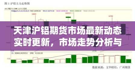 天津沪铝期货市场最新动态实时更新，市场走势分析与预测