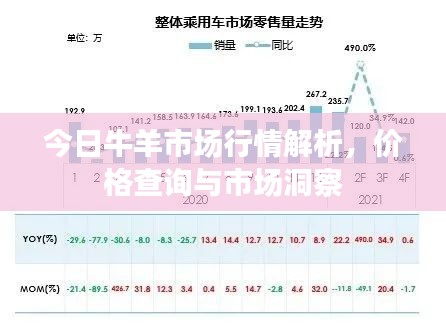 今日牛羊市场行情解析，价格查询与市场洞察