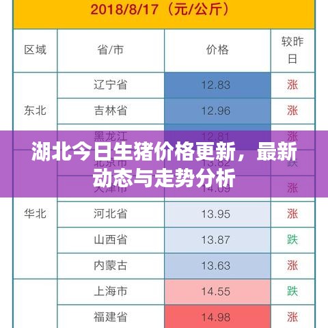 湖北今日生猪价格更新，最新动态与走势分析