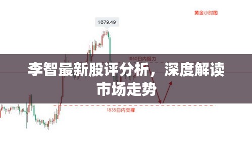 李智最新股评分析，深度解读市场走势