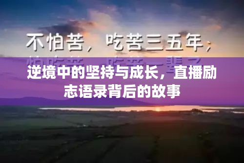 2025年8月12日 第5页