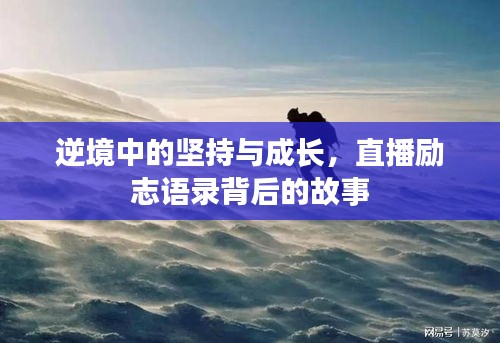 逆境中的坚持与成长,直播励志语录背后的故事
