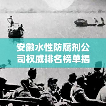 安徽水性防腐剂公司权威排名榜单揭晓!