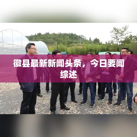 徽县最新新闻头条,今日要闻综述