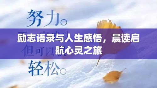 励志语录与人生感悟,晨读启航心灵之旅