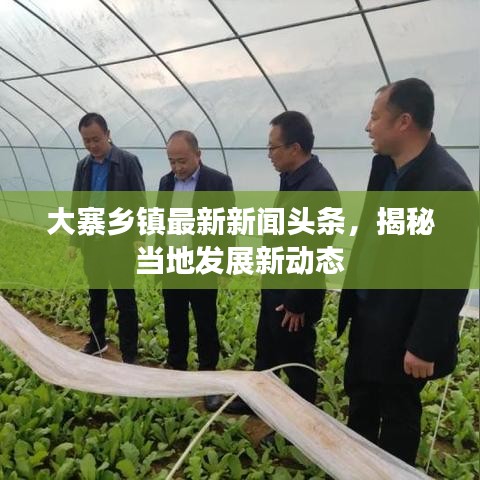 大寨乡镇最新新闻头条,揭秘当地发展新动态