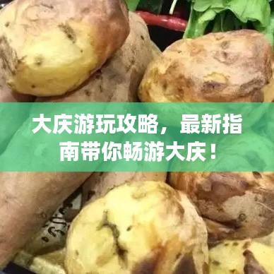 大庆游玩攻略，最新指南带你畅游大庆！