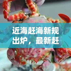 近海赶海新规出炉，最新赶海规定详解，今天必看！