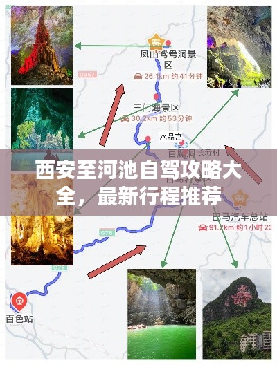笼中之鸟