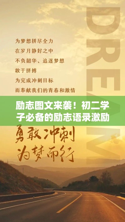网站案例 第13页