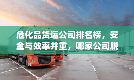 危化品货运公司排名榜,安全与效率并重,哪家公司脱颖而出?