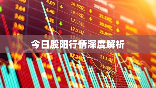 今日股阳行情深度解析