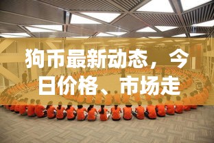 狗币最新动态,今日价格、市场走势与前景深度解析