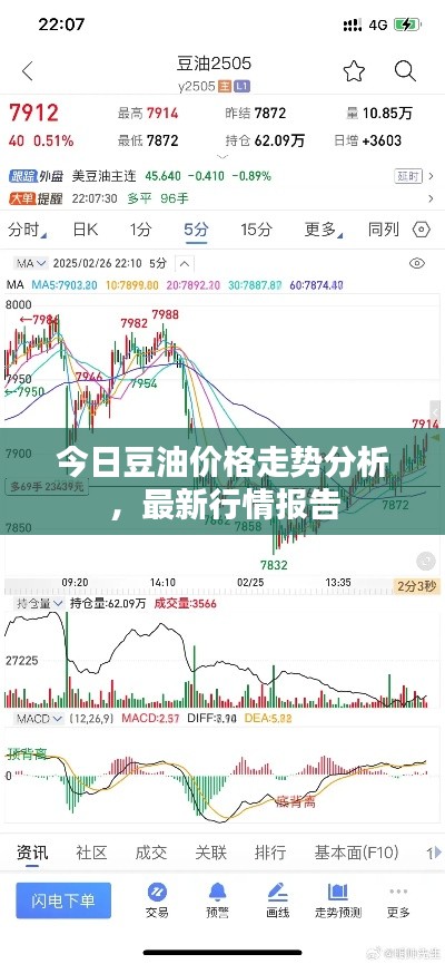 今日豆油价格走势分析,最新行情报告