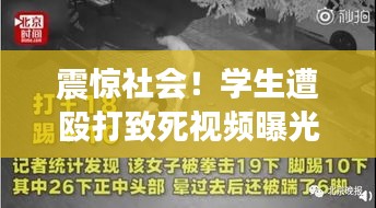 震惊社会!学生遭殴打致死视频曝光引发公愤
