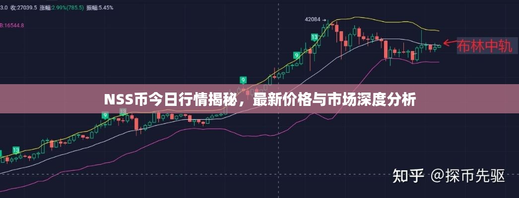 NSS币今日行情揭秘，最新价格与市场深度分析