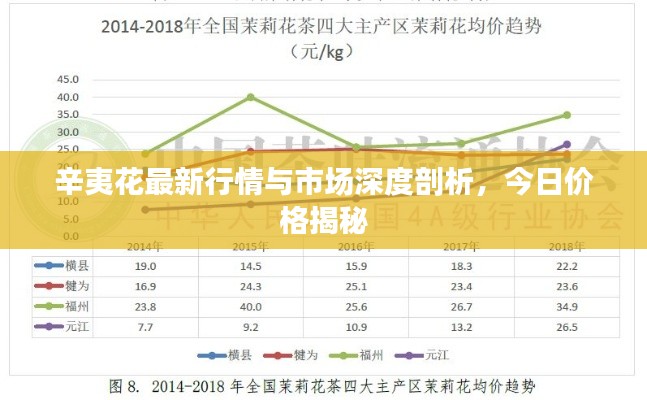 辛夷花最新行情与市场深度剖析，今日价格揭秘
