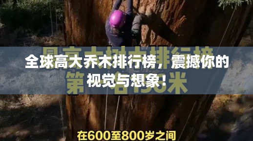 全球高大乔木排行榜，震撼你的视觉与想象！