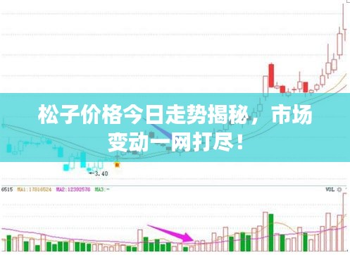 松子价格今日走势揭秘，市场变动一网打尽！