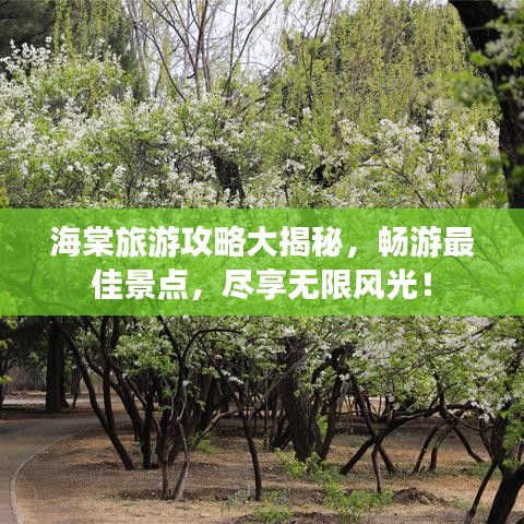 2025年8月20日