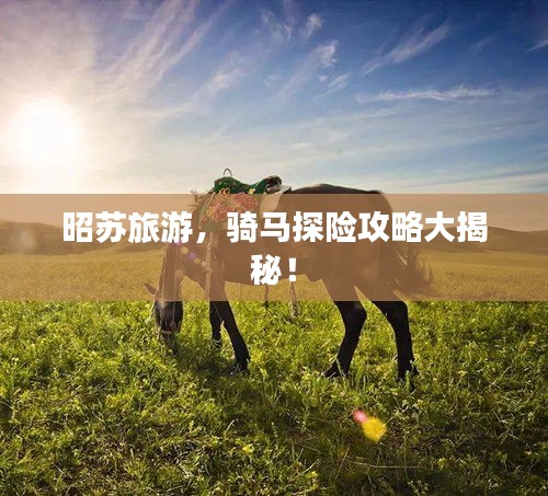 昭苏旅游,骑马探险攻略大揭秘!