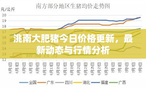 洮南大肥猪今日价格更新,最新动态与行情分析