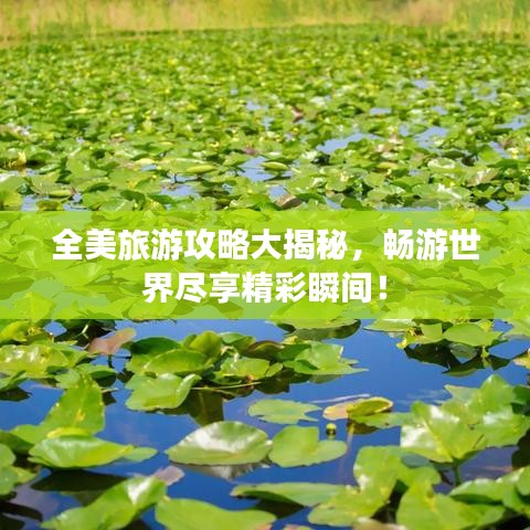 全美旅游攻略大揭秘，畅游世界尽享精彩瞬间！