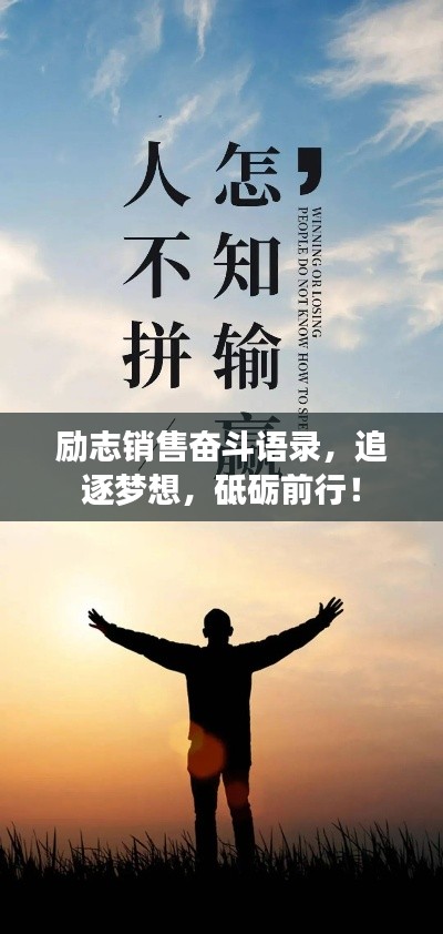 网站案例 第7页