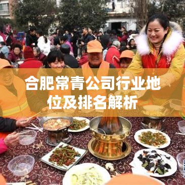 合肥常青公司行业地位及排名解析