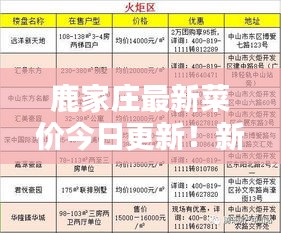 2025年8月24日