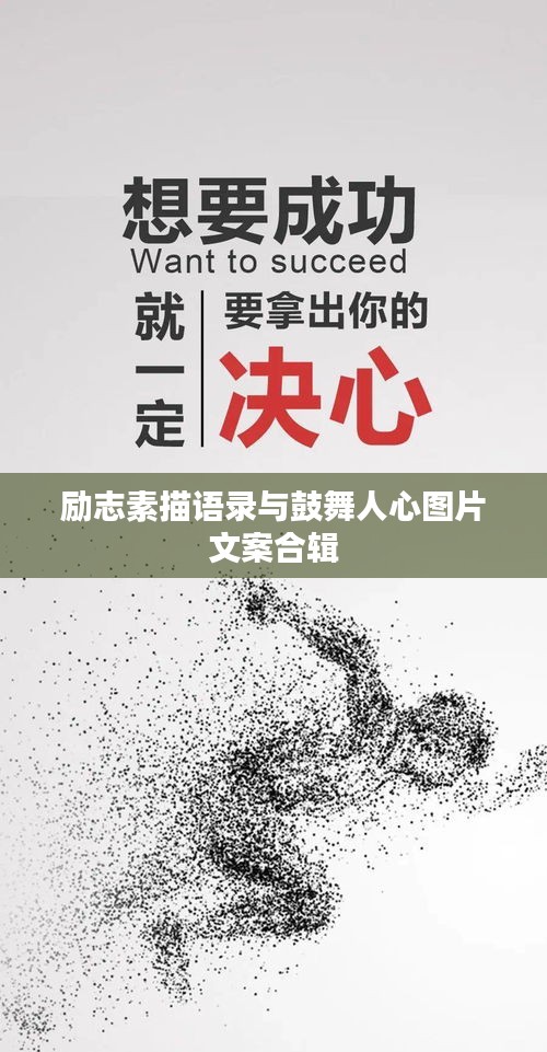 2025年8月24日 第3页