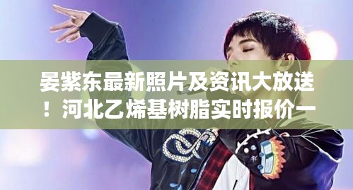 晏紫东最新照片及资讯大放送！河北乙烯基树脂实时报价一网打尽