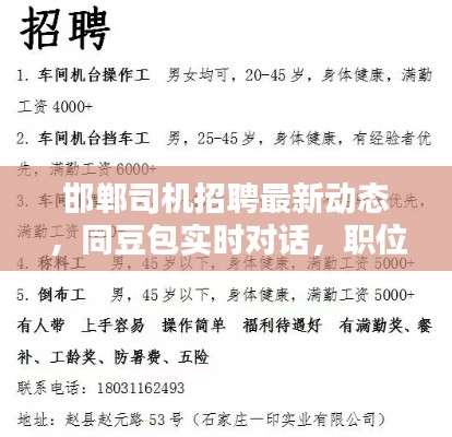邯郸司机招聘最新动态，同豆包实时对话，职位信息一网打尽