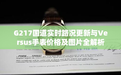 G217国道实时路况更新与Versus手表价格及图片全解析