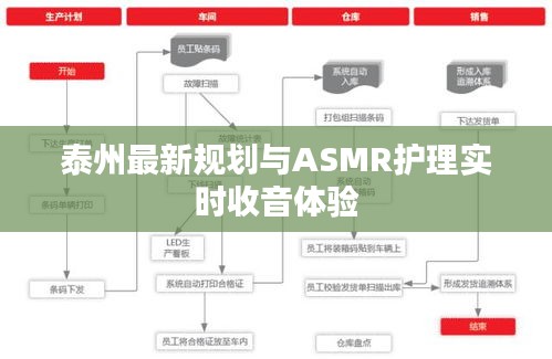 泰州最新规划与ASMR护理实时收音体验